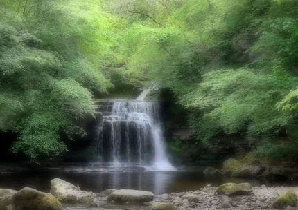 The delicate softness ofThe delicate softness of the leaves, and the waterfall gently descending into a pool, creates a dreamlike sense of calm.