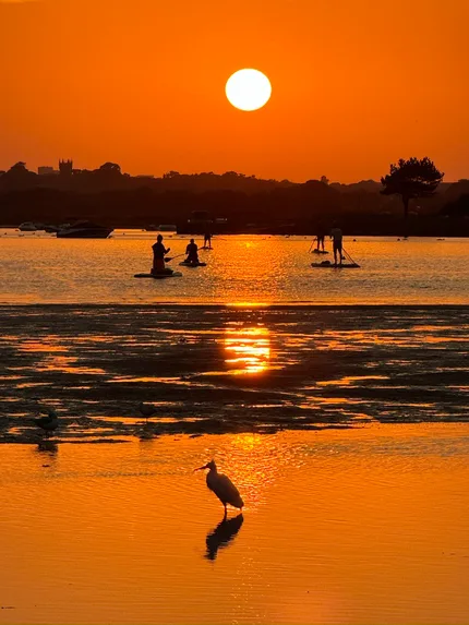 Paddle boards at Mudeford make their way towards the setting sun.  A golden orange glow fills the photograph