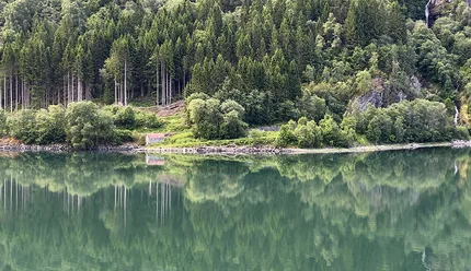 Fjord Reflections of a forest sloping gently from the shore and reflecting in the still water