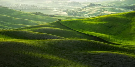 Rolling green hills of Tuscany fall in graceful waves creating a beautiful landscape.