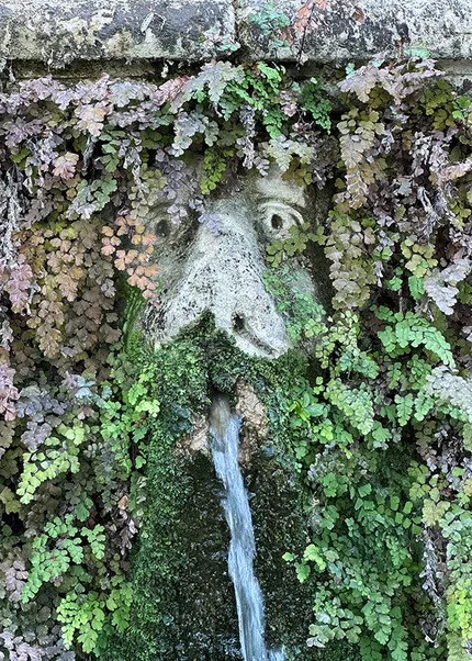A grotesque face in an old wall spouts water from its mouth.