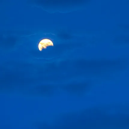 The moon peaks through the cobalt coloured sky